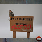 Wooden Signs - Noks