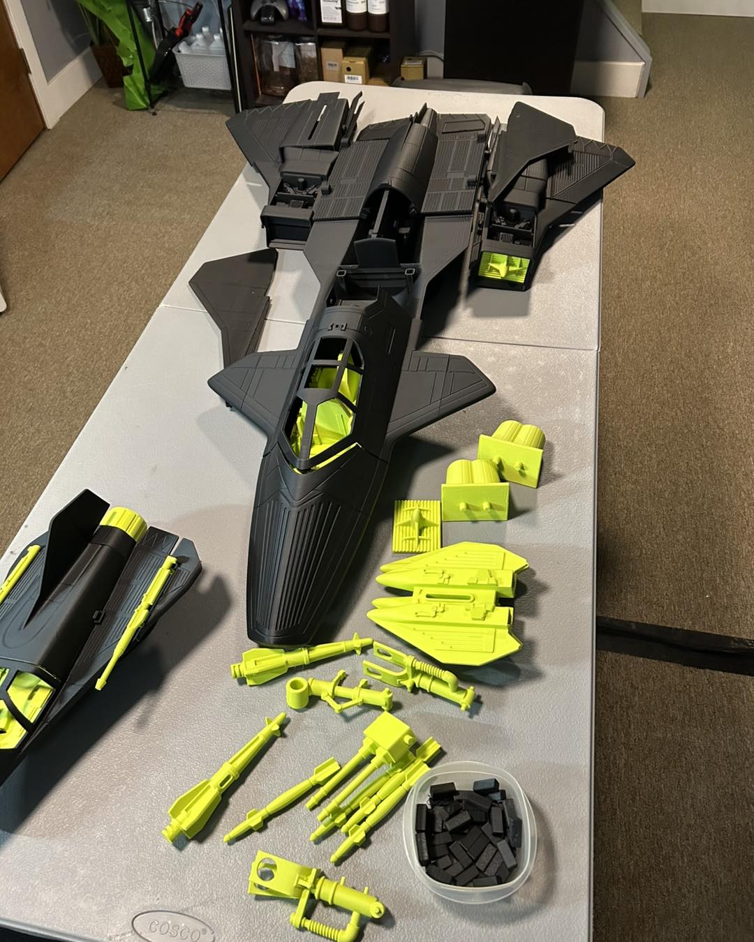 Night Raven - Custom Painted